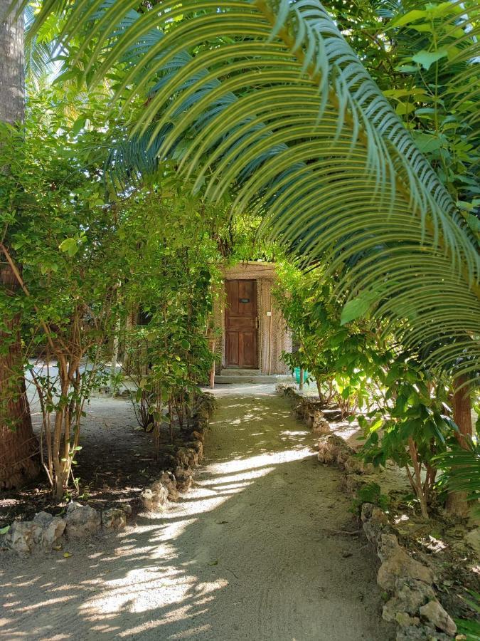 Your Zanzibar Place パジェ エクステリア 写真