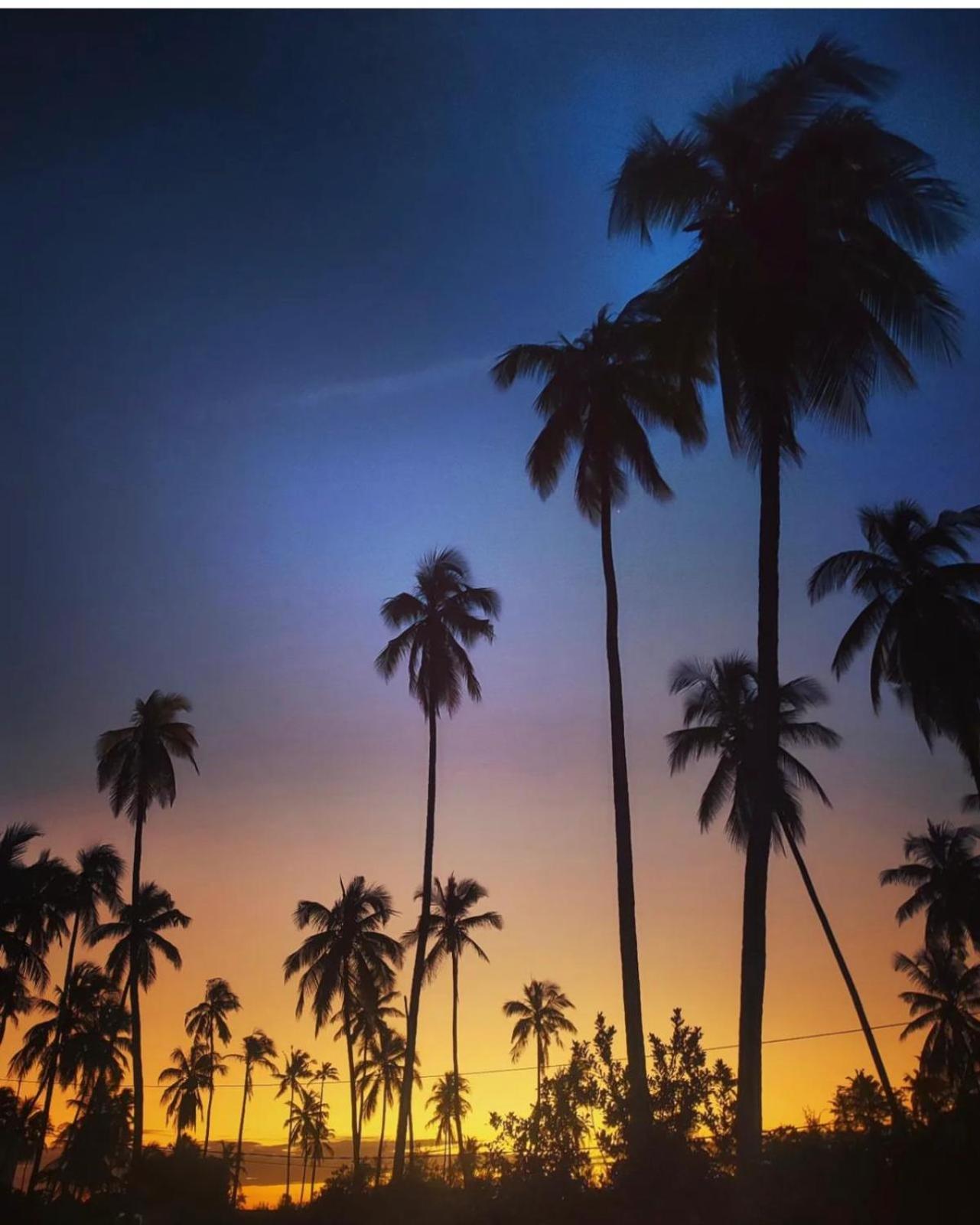 Your Zanzibar Place パジェ エクステリア 写真