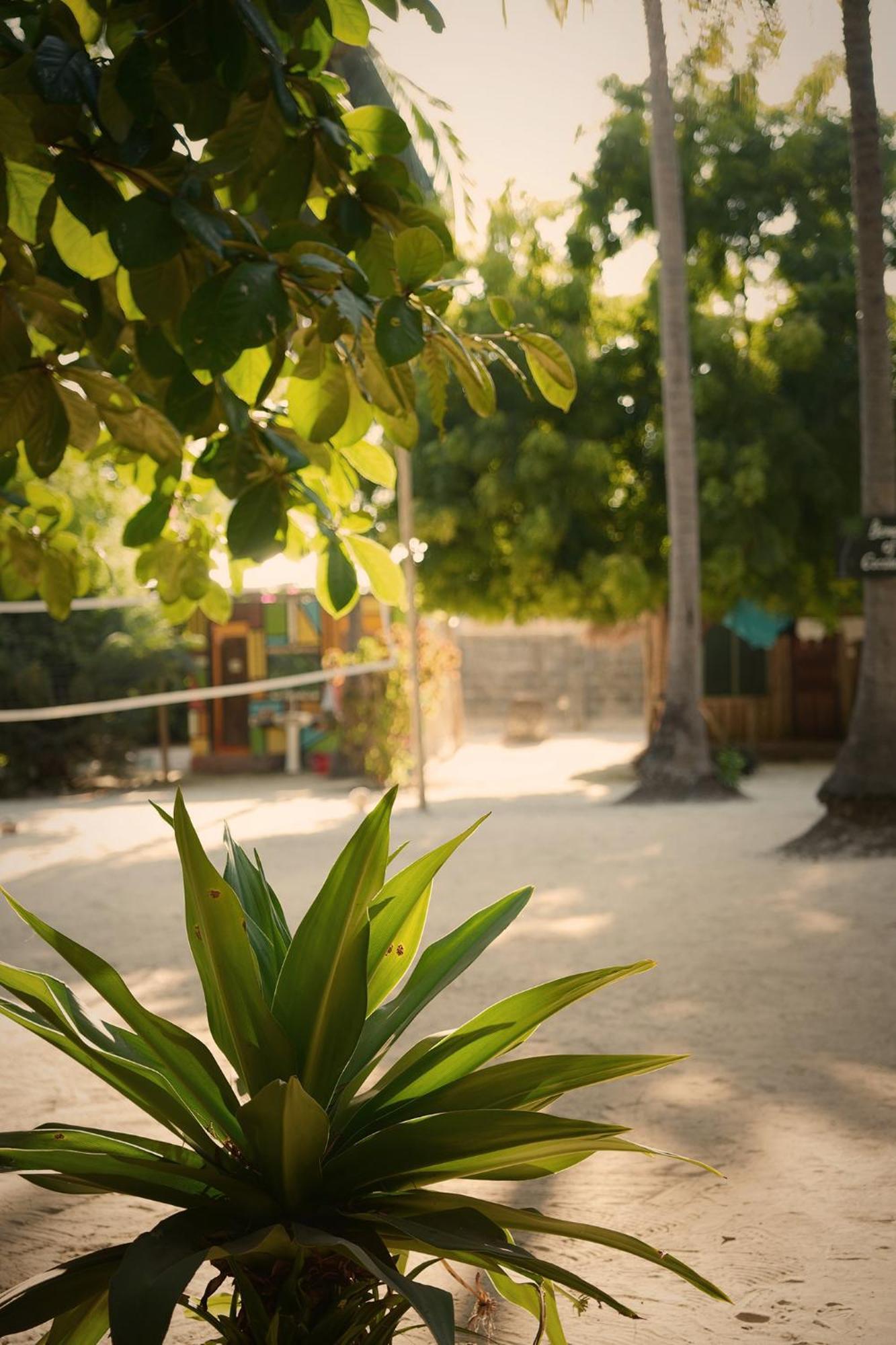 Your Zanzibar Place パジェ エクステリア 写真