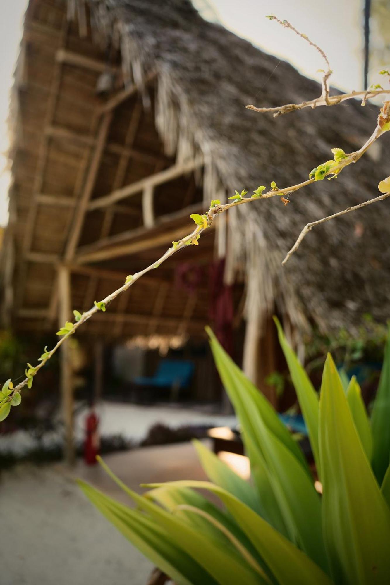 Your Zanzibar Place パジェ エクステリア 写真